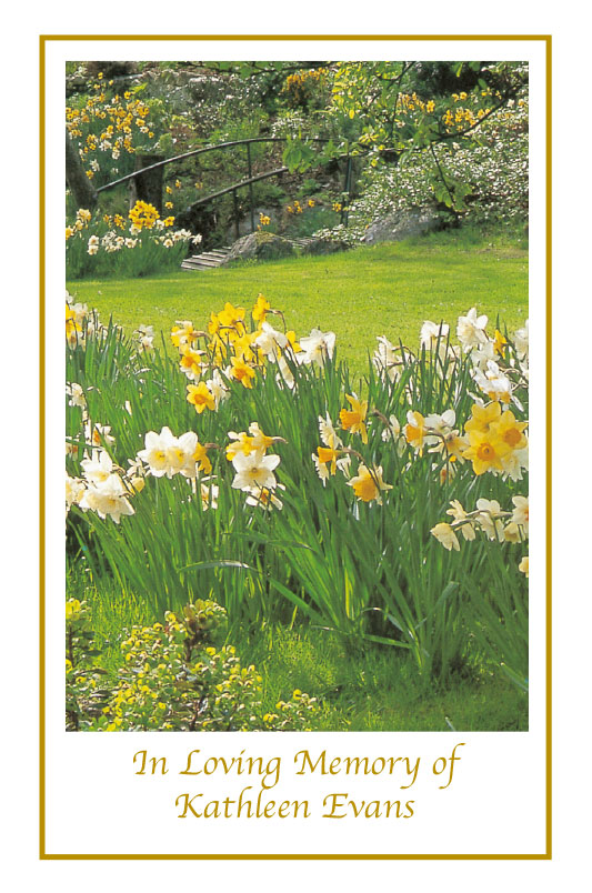 Daffodils