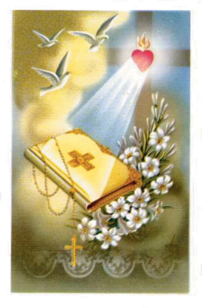 Holy Bible