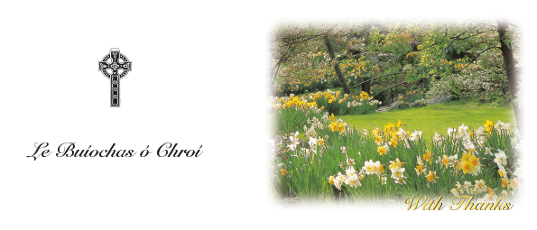 Daffodils