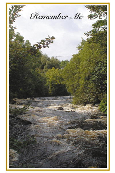 Forest River