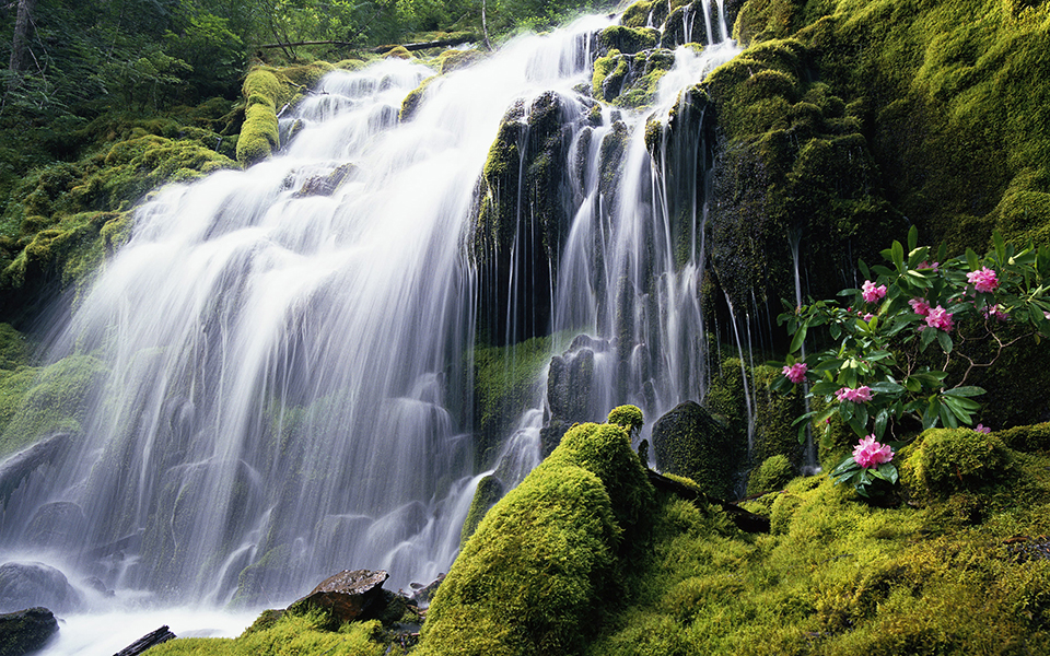 Waterfall Picture