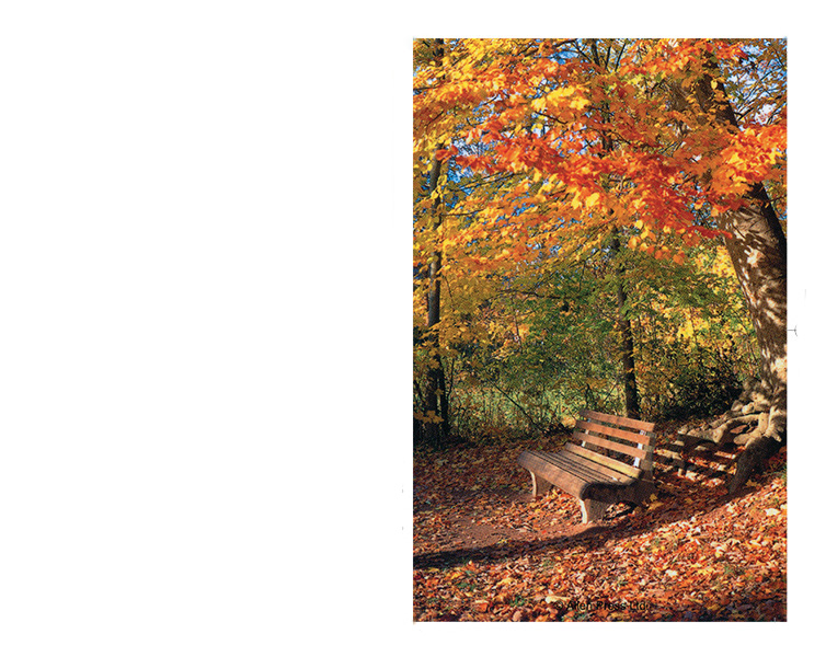 Bereavement Cards