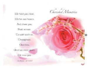 A Lovely Pink Rose